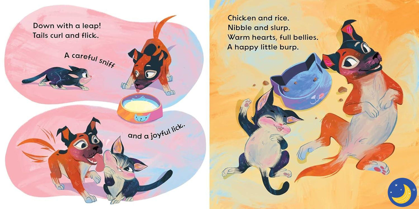 Street Puppy, Masjid Cat