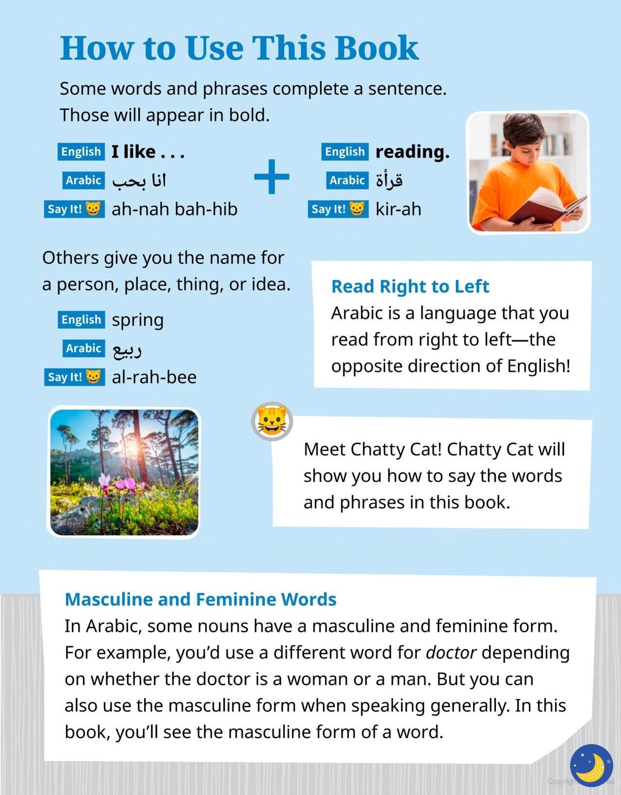 See and Say Arabic (Bilingual Arabic & English)