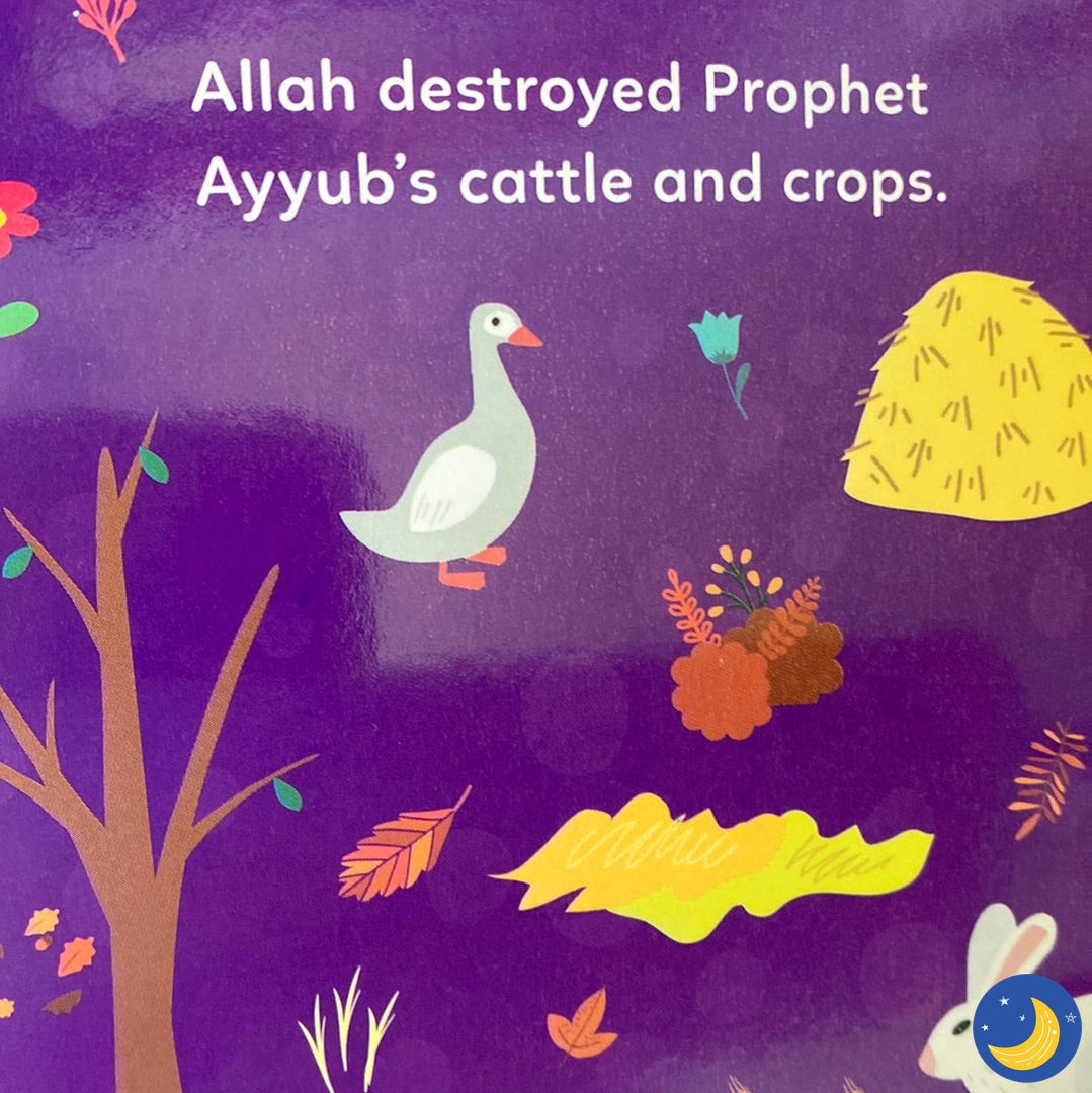 Prophet Ayyub (Mini Board Book)