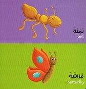 Animals Board Book | Language Learning Book | Crescent Moon Store