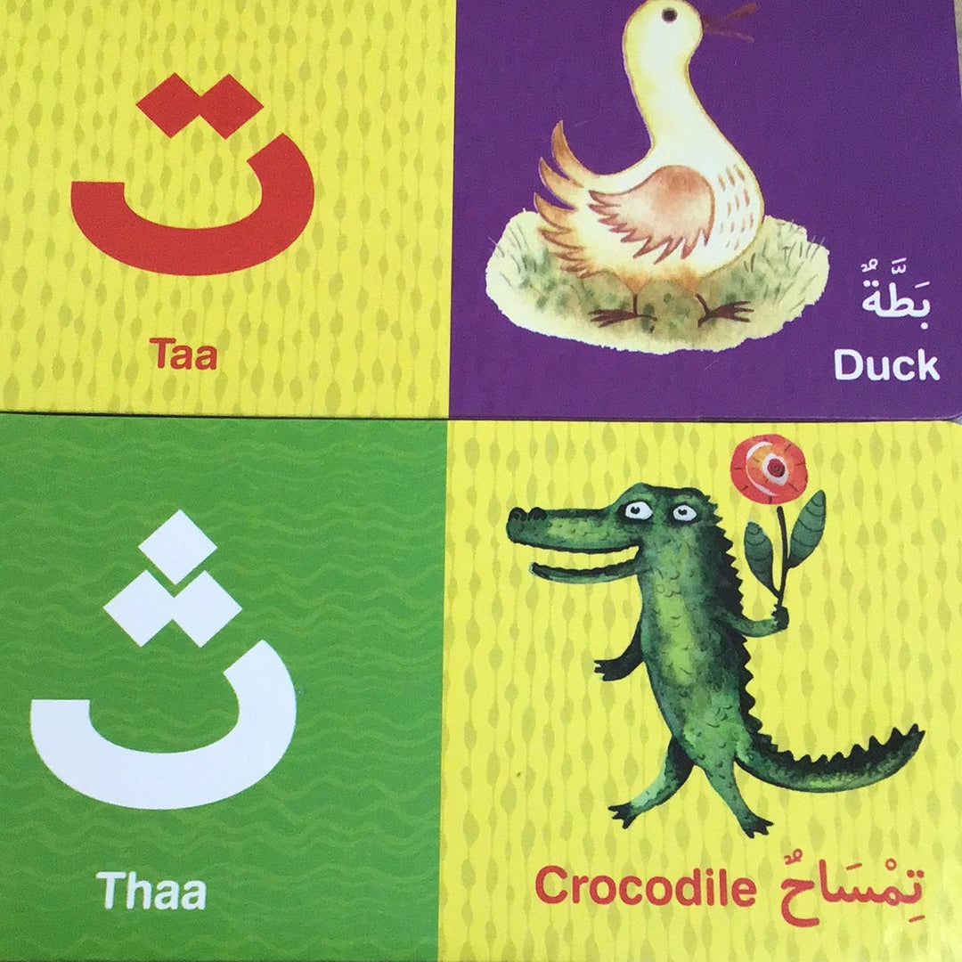 My First Arabic Alphabet Dominoes-Toys & Games-Goodword-Crescent Moon Store